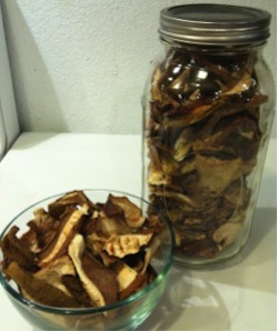 Dried Mushroom