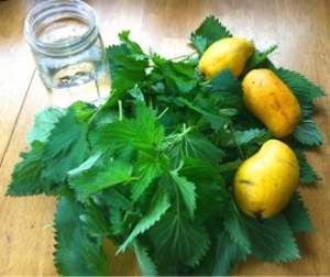 Green Smoothie Ingredients of Nettles