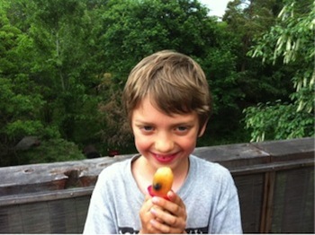 Enjoy juice popsicles