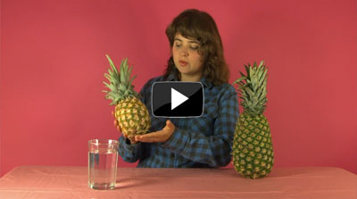 The Pineapple Valyas Video About Pineapples
