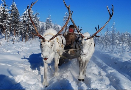 Health in Siberia