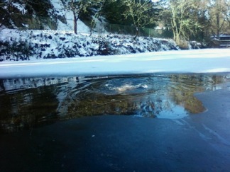 Swimming in a frozen lake Swimming in a frozen lake