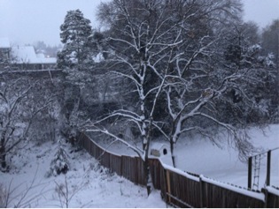 Snow at the Boutenkos