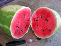 Fresh Watermelon - Photo by Victoria
